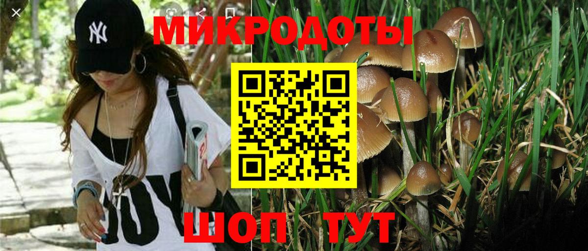 Галлюциногенные грибы GOLDEN TEACHER  Псилоцибиновые грибы Cubensis  Аргун  Вход с VPN 